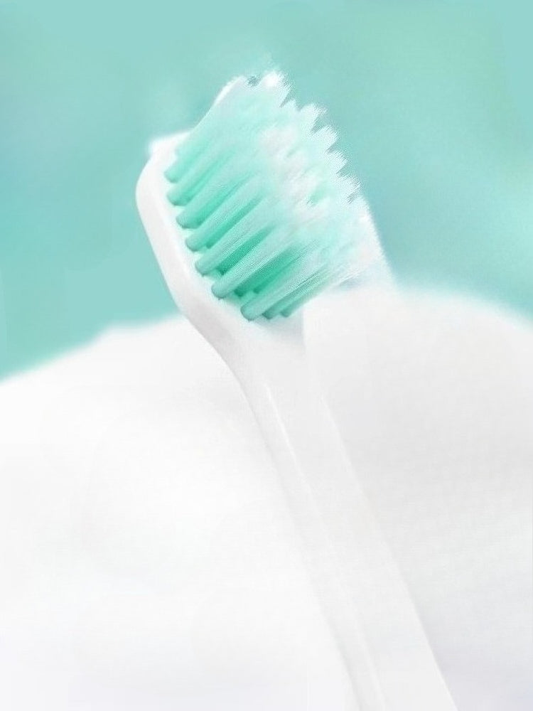 Official Hatsune Miku Forest Collection Couple Toothbrush Set – Ultra-Soft Bristles