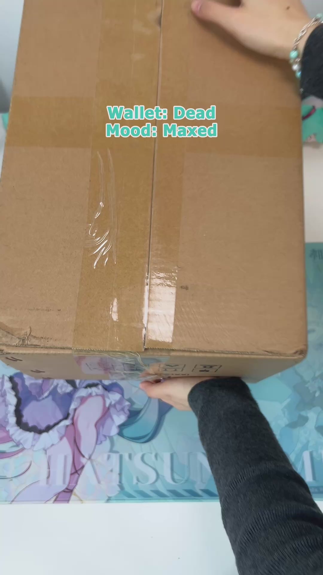 Officially Licensed Hatsune Miku Animal Cosplay Series Plush Dolls | Cute Soft Sweet High-Look Companion Doll for Home Decor