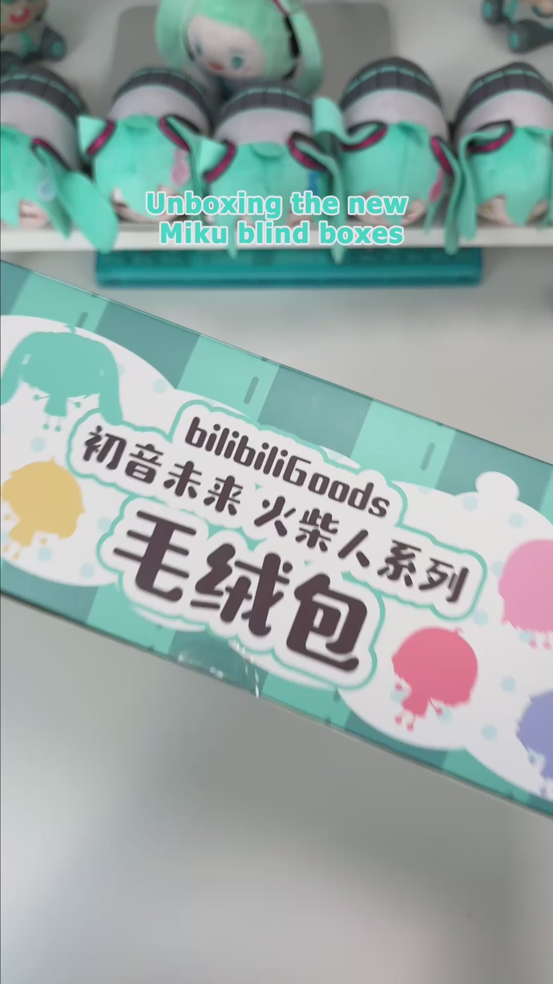 Officially Licensed Hatsune Miku Stick Figure Series Plush Pouch Blind Box